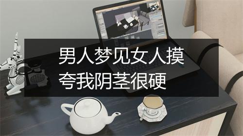 男人梦见女人摸夸我阴茎很硬