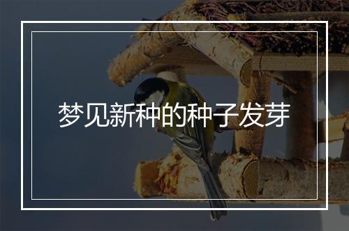 梦见新种的种子发芽