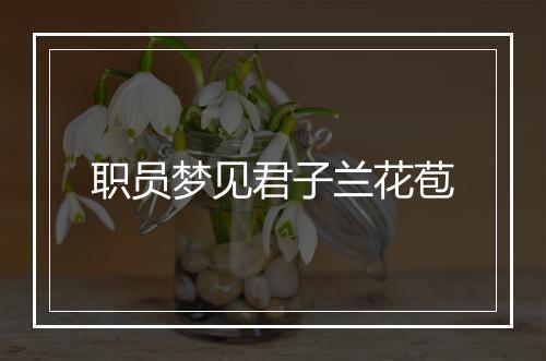 职员梦见君子兰花苞