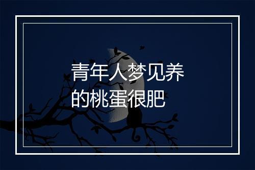 青年人梦见养的桃蛋很肥