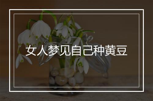 女人梦见自己种黄豆