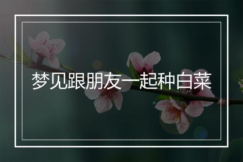 梦见跟朋友一起种白菜