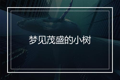 梦见茂盛的小树