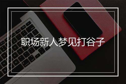 职场新人梦见打谷子