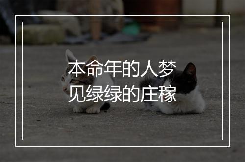 本命年的人梦见绿绿的庄稼