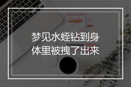 梦见水蛭钻到身体里被拽了出来