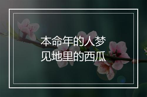 本命年的人梦见地里的西瓜