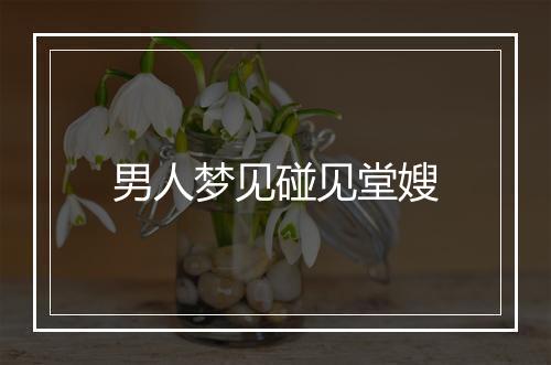 男人梦见碰见堂嫂