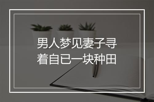 男人梦见妻子寻着自已一块种田