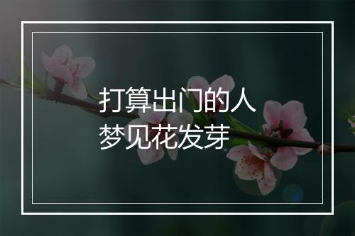 打算出门的人梦见花发芽