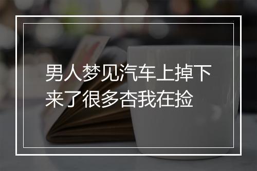 男人梦见汽车上掉下来了很多杏我在捡