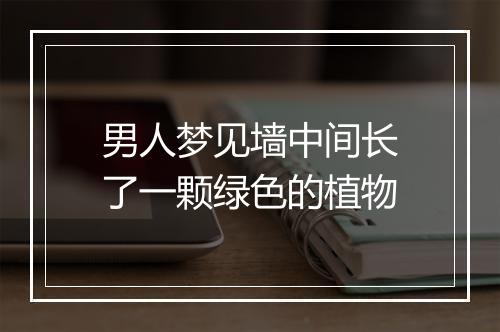 男人梦见墙中间长了一颗绿色的植物