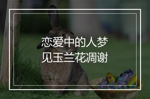 恋爱中的人梦见玉兰花凋谢