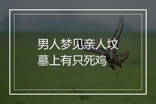 男人梦见亲人坟墓上有只死鸡