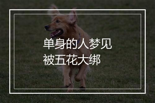 单身的人梦见被五花大绑