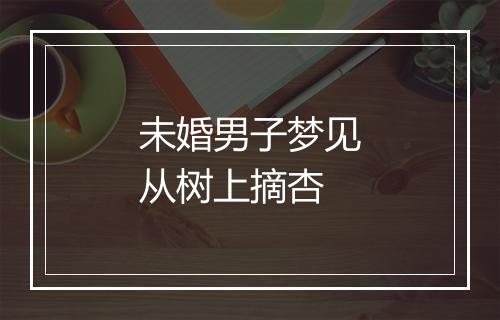 未婚男子梦见从树上摘杏