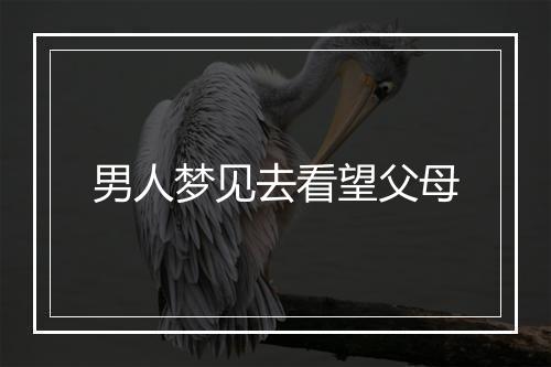 男人梦见去看望父母