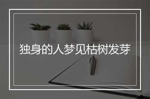 独身的人梦见枯树发芽