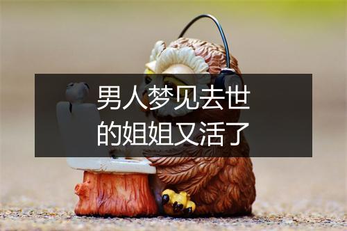 男人梦见去世的姐姐又活了