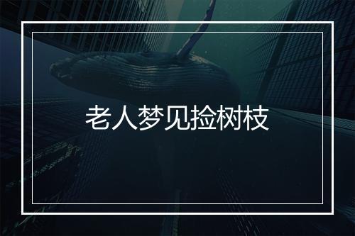 老人梦见捡树枝