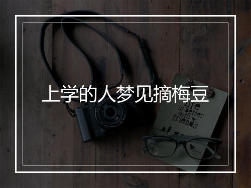 上学的人梦见摘梅豆