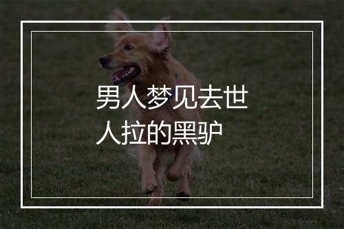 男人梦见去世人拉的黑驴