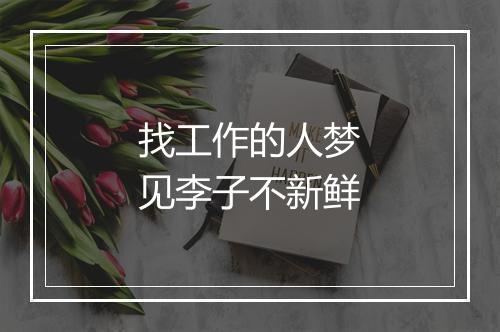 找工作的人梦见李子不新鲜