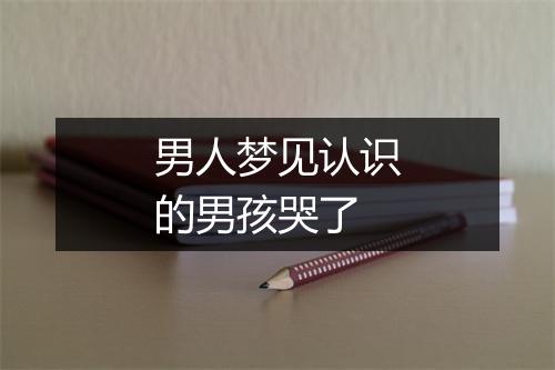 男人梦见认识的男孩哭了