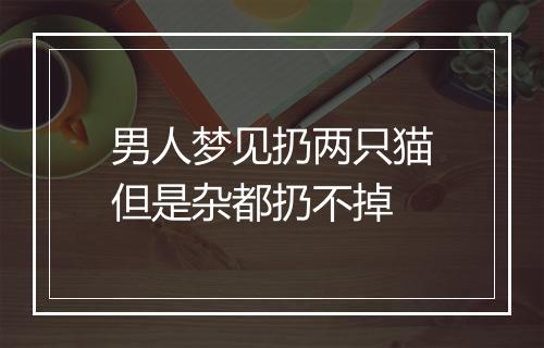 男人梦见扔两只猫但是杂都扔不掉