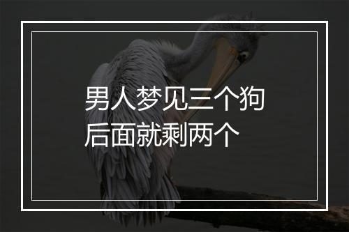 男人梦见三个狗后面就剩两个