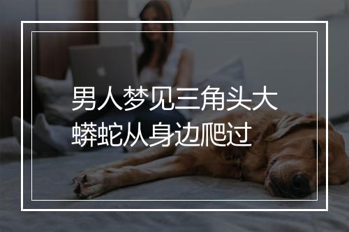 男人梦见三角头大蟒蛇从身边爬过