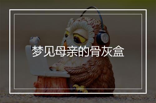 梦见母亲的骨灰盒