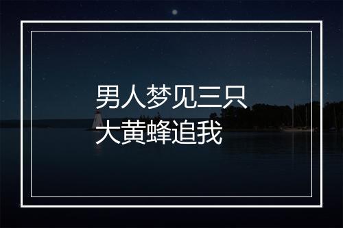 男人梦见三只大黄蜂追我