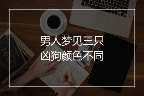 男人梦见三只凶狗颜色不同