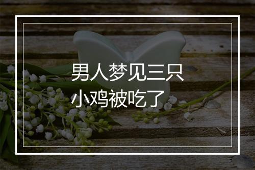 男人梦见三只小鸡被吃了