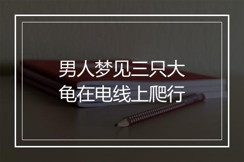 男人梦见三只大龟在电线上爬行