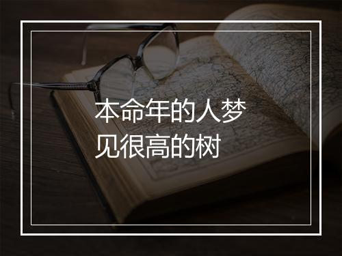 本命年的人梦见很高的树