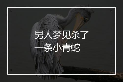 男人梦见杀了一条小青蛇