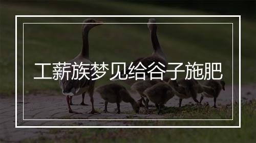 工薪族梦见给谷子施肥