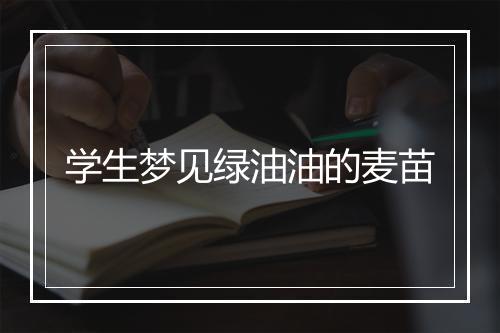 学生梦见绿油油的麦苗