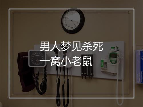 男人梦见杀死一窝小老鼠