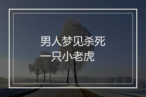 男人梦见杀死一只小老虎