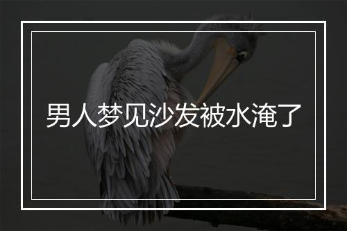 男人梦见沙发被水淹了