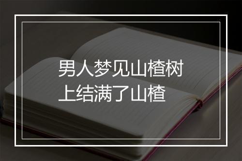 男人梦见山楂树上结满了山楂