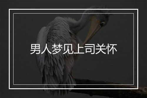 男人梦见上司关怀