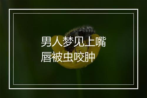 男人梦见上嘴唇被虫咬肿