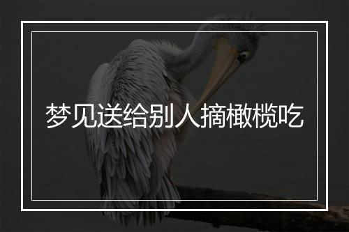 梦见送给别人摘橄榄吃