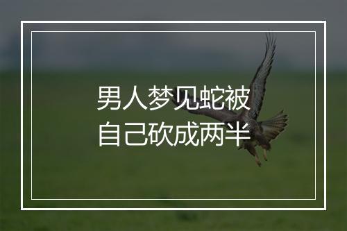 男人梦见蛇被自己砍成两半