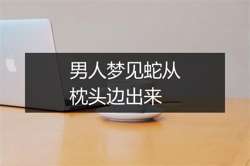 男人梦见蛇从枕头边出来