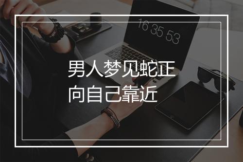 男人梦见蛇正向自己靠近